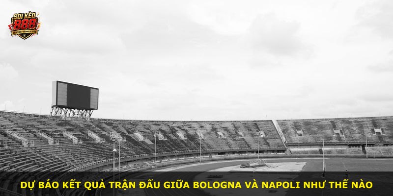Dự báo kết quả trận đấu giữa Bologna và Napoli như thế nào