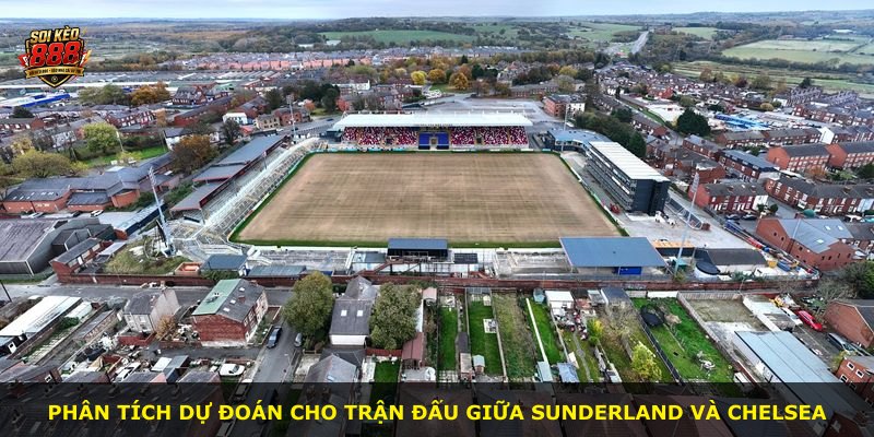Phân tích dự đoán cho trận đấu giữa Sunderland và Chelsea