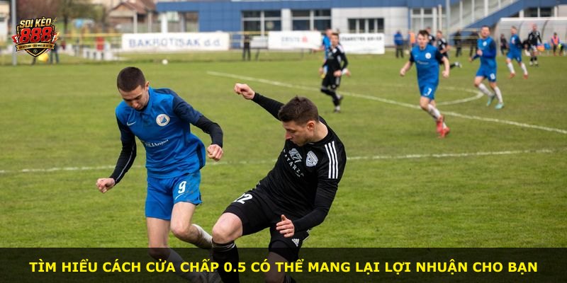 Tìm hiểu cách cửa chấp 0.5 có thể mang lại lợi nhuận cho bạn