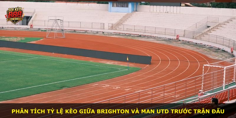Phân tích tỷ lệ kèo giữa Brighton và Man Utd trước trận đấu