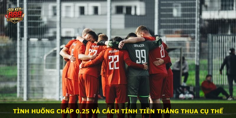 Tình huống chấp 0.25 và cách tính tiền thắng thua cụ thể