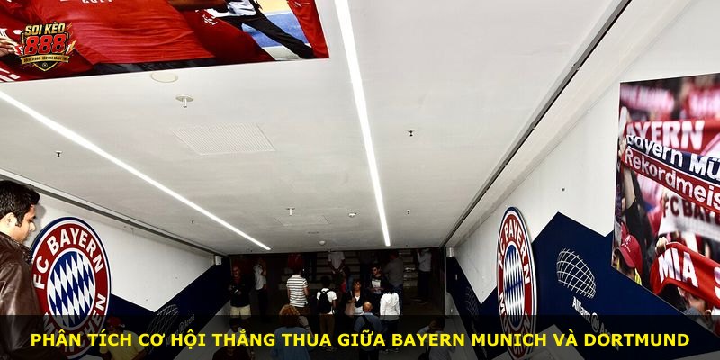 Phân tích cơ hội thắng thua giữa Bayern Munich và Dortmund