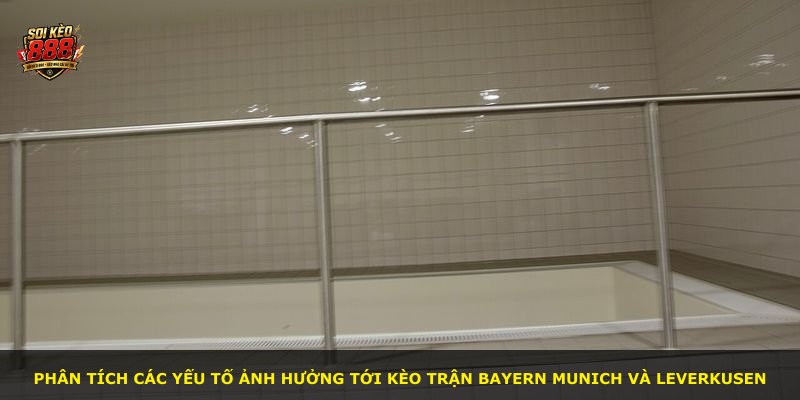Phân tích các yếu tố ảnh hưởng tới kèo trận Bayern Munich và Leverkusen