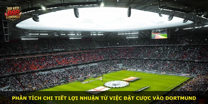 Phân tích chi tiết lợi nhuận từ việc đặt cược vào Dortmund