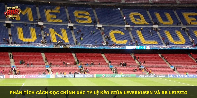 Phân tích cách đọc chính xác tỷ lệ kèo giữa Leverkusen và RB Leipzig
