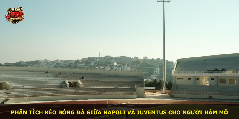 Phân tích kèo bóng đá giữa Napoli và Juventus cho người hâm mộ