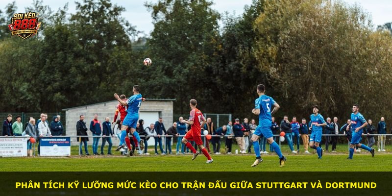 Phân tích kỹ lưỡng mức kèo cho trận đấu giữa Stuttgart và Dortmund