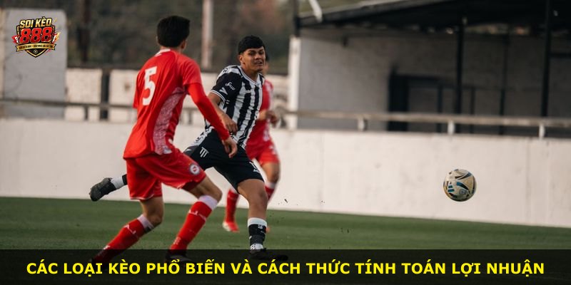 Các loại kèo phổ biến và cách thức tính toán lợi nhuận