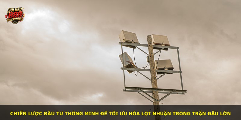 Chiến lược đầu tư thông minh để tối ưu hóa lợi nhuận trong trận đấu lớn