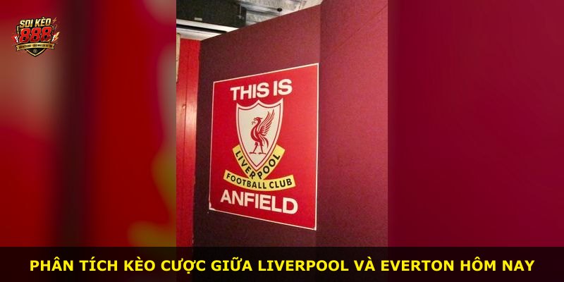 Phân tích kèo cược giữa Liverpool và Everton hôm nay