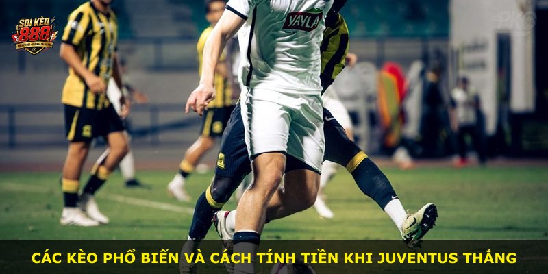 Các kèo phổ biến và cách tính tiền khi Juventus thắng