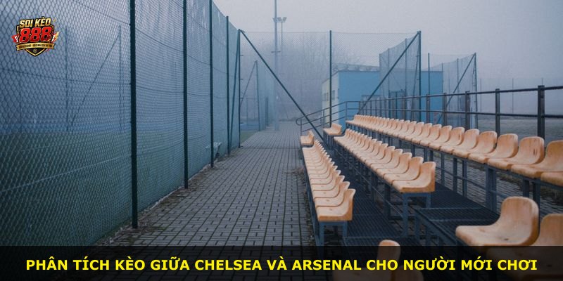 Phân tích kèo giữa Chelsea và Arsenal cho người mới chơi
