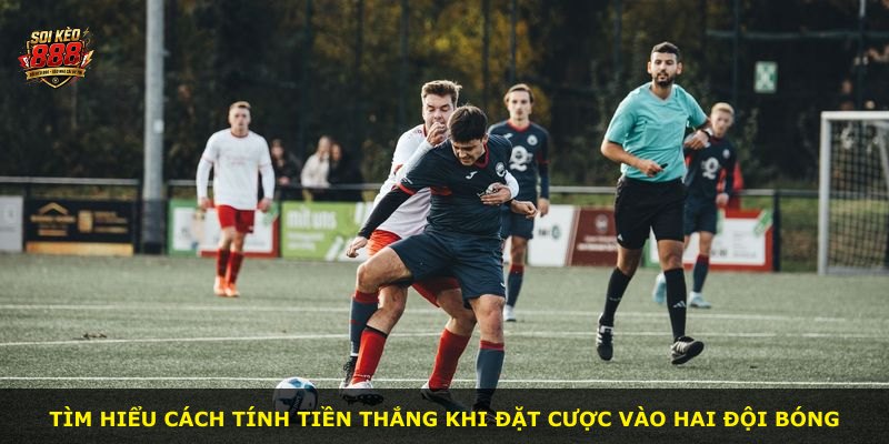 Tìm hiểu cách tính tiền thắng khi đặt cược vào hai đội bóng