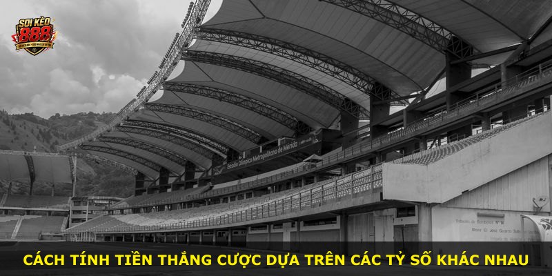 Cách tính tiền thắng cược dựa trên các tỷ số khác nhau
