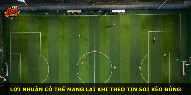 Lợi nhuận có thể mang lại khi theo tin soi kèo đúng