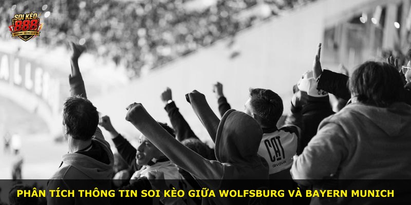 Phân tích thông tin soi kèo giữa Wolfsburg và Bayern Munich