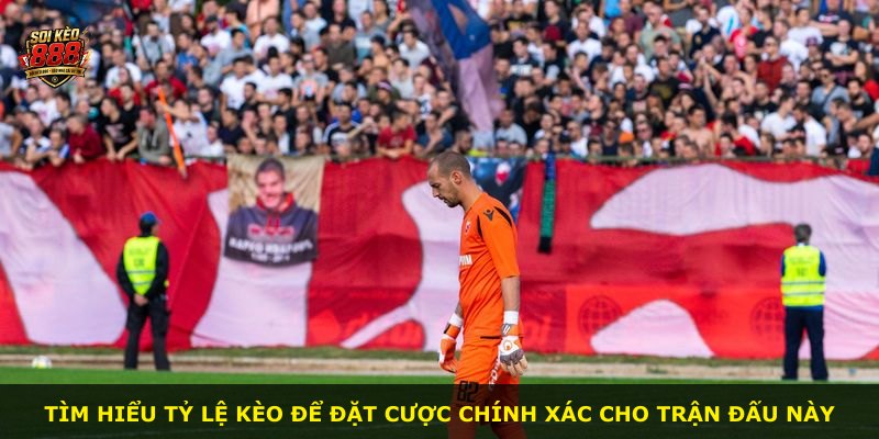 Tìm hiểu tỷ lệ kèo để đặt cược chính xác cho trận đấu này