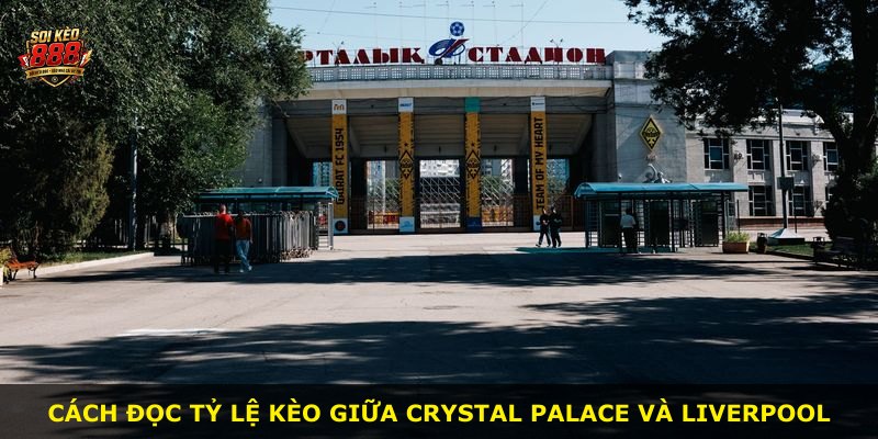 Cách đọc tỷ lệ kèo giữa Crystal Palace và Liverpool