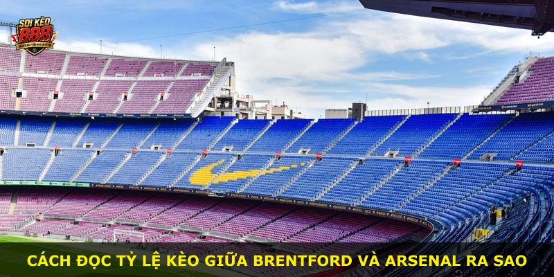 Cách đọc tỷ lệ kèo giữa Brentford và Arsenal ra sao