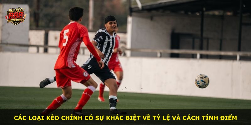 Các loại kèo chính có sự khác biệt về tỷ lệ và cách tính điểm